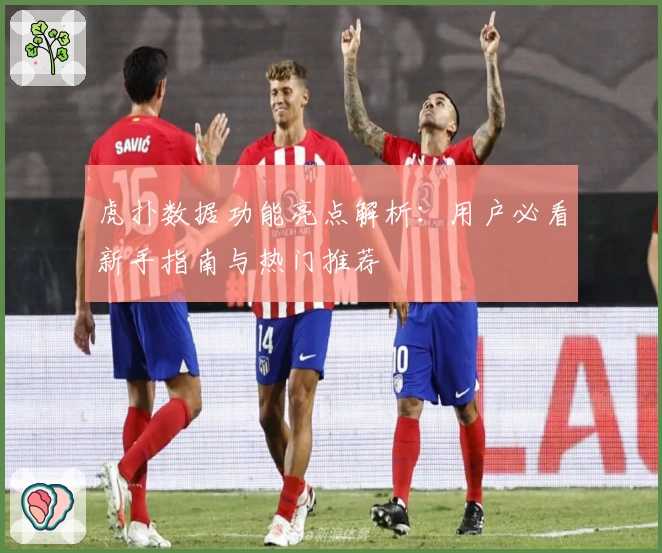 虎扑数据功能亮点解析：用户必看新手指南与热门推荐