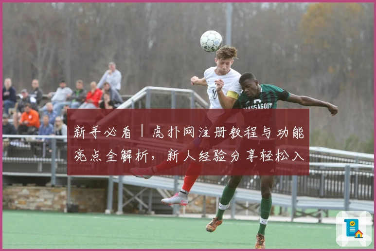 新手必看|虎扑网注册教程与功能亮点全解析,新人经验分享轻松入门