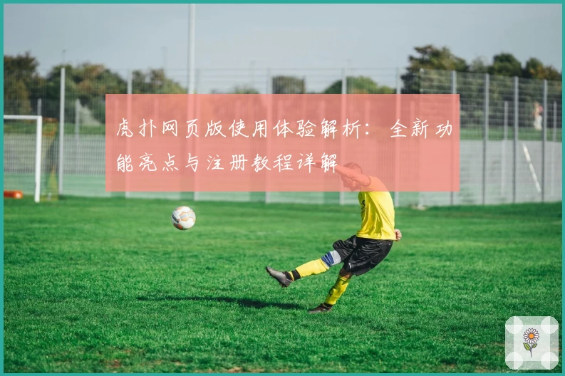 虎扑网页版使用体验解析：全新功能亮点与注册教程详解