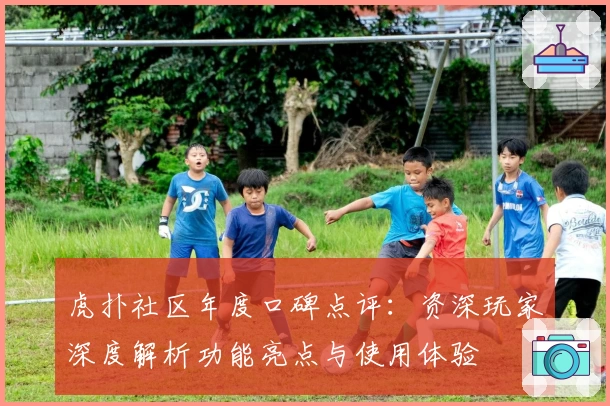 虎扑社区年度口碑点评：资深玩家深度解析功能亮点与使用体验