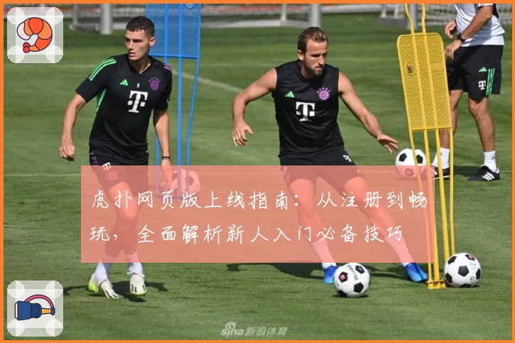 虎扑网页版上线指南:从注册到畅玩,全面解析新人入门必备技巧