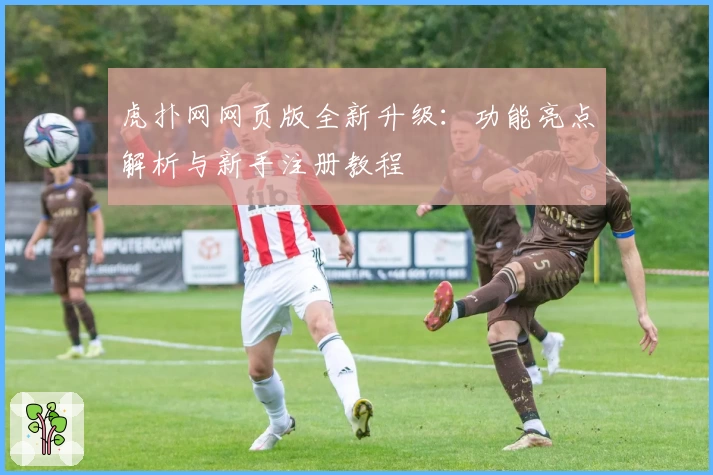 虎扑网网页版全新升级：功能亮点解析与新手注册教程